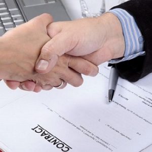 Custom Business Plan